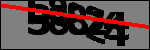 Text per identificar